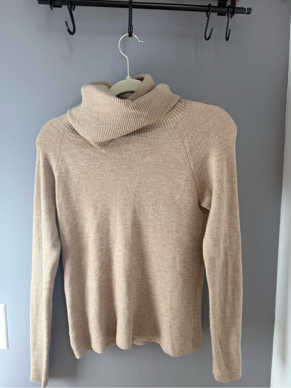 Ann Taylor Men's Turtleneck Sweater - Taupe